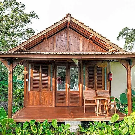 Green Lava Mountain View Cabin Bedugul By Ihm